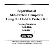 Separation of SDS-Protein Complexes Using the CE-SDS ... - Bio-Rad