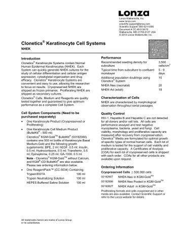 Clonetics Keratinocyte Cell Systems
