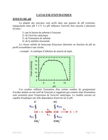 C) CATALYSE ENZYMATIQUE (chapitre 14)