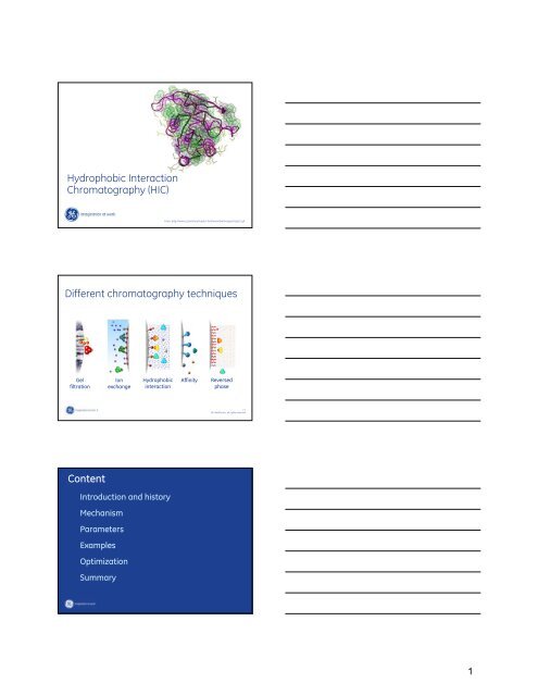 Hydrophobic Interaction Chromatography (HIC) Different ...