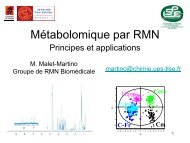 Myriam Martino-Cours metabolomique partie 2 doc.pdf