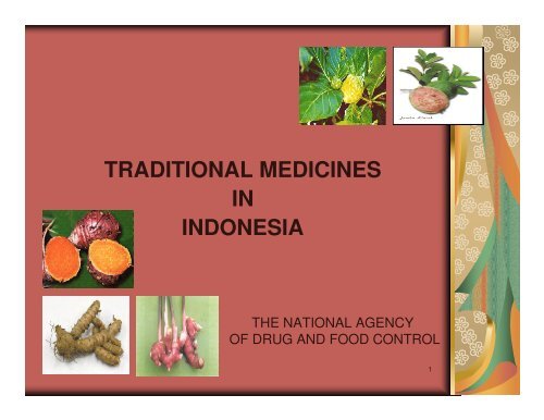 speech 9 - Traditional medicines in Indonesia