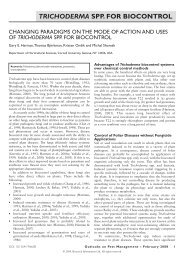 trichoderma - Horticulture - Cornell University