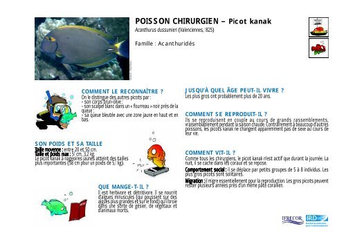 POISSON CHIRURGIEN â Picot kanak - Ifrecor