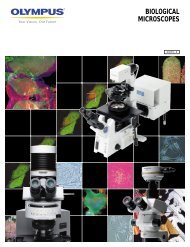 BIOLOGICAL MICROSCOPES - Olympus