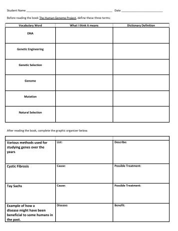 Gr 8 Task Graphic Organizer