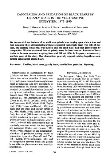 Cannibalism and Predation on Black Bears by Grizzly Bears in the ...