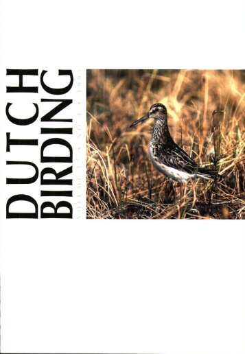 Zie het artikel in Dutch Birding 1995-4