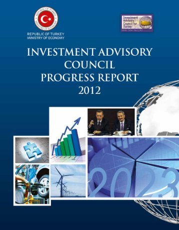 investment advisory council progress report - 2012
