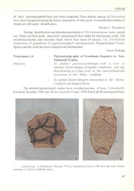 1995-96 - Birbal Sahni Institute of Palaeobotany