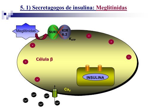 Farmacologia dos antidiabéticos