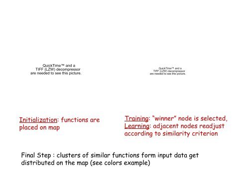Self Organizing Maps Parametrization of Parton Distribution Functions
