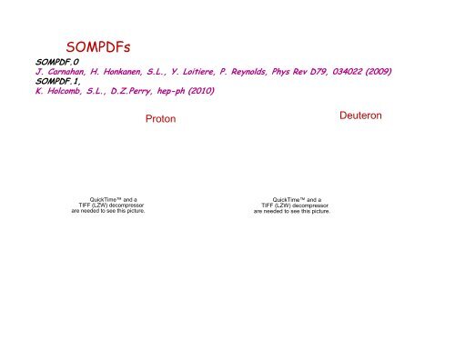 Self Organizing Maps Parametrization of Parton Distribution Functions