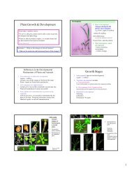 Plant Growth & Development Growth Stages
