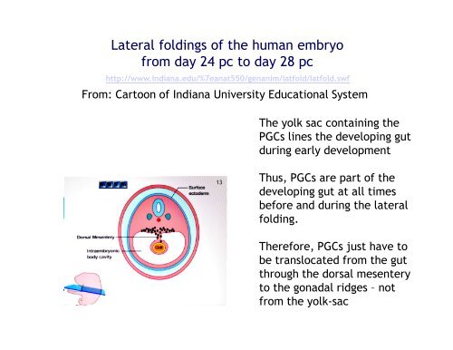 From primordial germ cells to oogonia - eshre