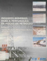 Insumos minerais - Cetem