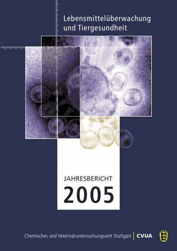 Jahresbericht 2005