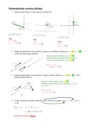 ParametrickÃ© rovnice pÅÃ­mky