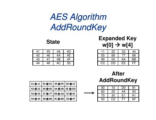 AES Guest Lecturer