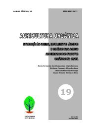 19 - Agricultura orgÃ¢nica: introduÃ§Ã£o Ã s normas ... - Pesagro-Rio