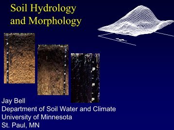 Soil Hydrology and Morphology - University of Minnesota