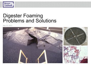 Digester Foaming Problems and Solutions