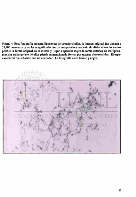 Download (9mb) - Universidad Autónoma de Nuevo León