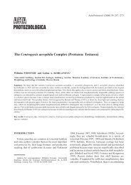 The Centropyxis aerophila Complex (Protozoa: Testacea)