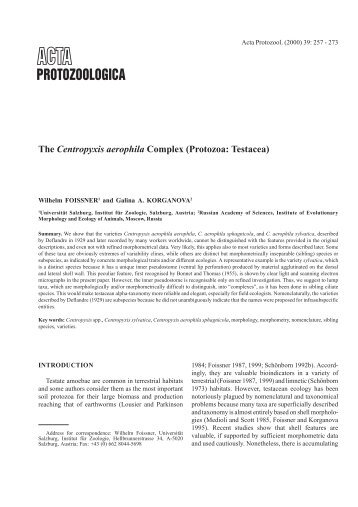 The Centropyxis aerophila Complex (Protozoa: Testacea)