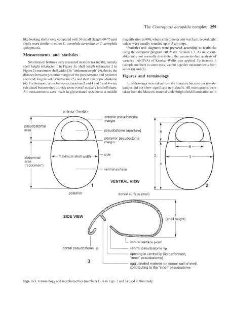 The Centropyxis aerophila Complex (Protozoa: Testacea)