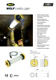 download - Wolf Safety Lamp Company