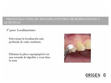 PROTOCOLO TOMA DE MUESTRA ESTUDIOS ... - ORIGEN