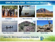 GMC Shareholder Information Meeting - Geovic Mining Corp