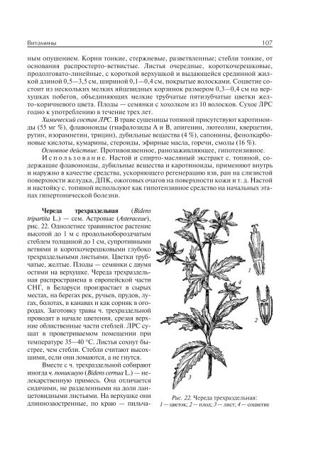 ÐÐ¸Ð½ÑÐº: ÐÐÐ£, 2011. - ÐÐÐ£. Ð¡Ð°Ð¹Ñ Ð±Ð¸Ð¾Ð»Ð¾Ð³Ð¸ÑÐµÑÐºÐ¾Ð³Ð¾ ÑÐ°ÐºÑÐ»ÑÑÐµÑÐ°