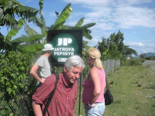 Growing Jatropha curcas for Renewable Energy - Illinois ...