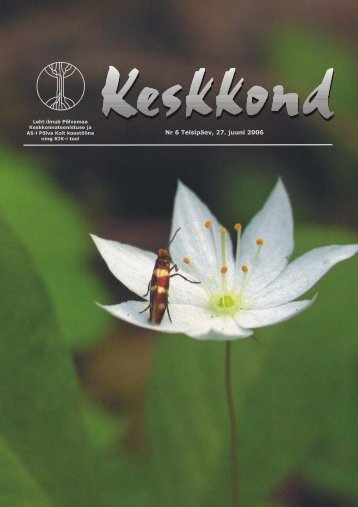 Keskkond nr 6 - Koit