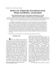 biodiversity of butterflies from districts kotli, mirpur and ... - Zsp.com.pk