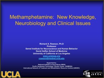 Methamphetamine: New Knowledge, Neurobiology and Clinical ...