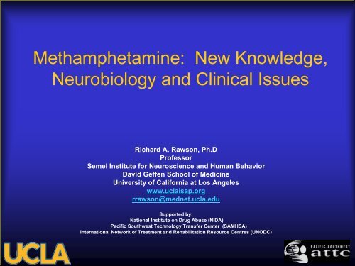 Methamphetamine: New Knowledge, Neurobiology and Clinical ...