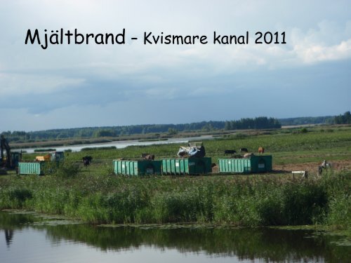 MjÃ¤ltbrand â Kvismare kanal 2011 - Infektion.net