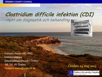 Clostridium difficile infektion (CDI) - Infektion.net