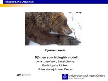 BjÃ¶rnen sover.. BjÃ¶rnen som biologisk modell - Infektion.net