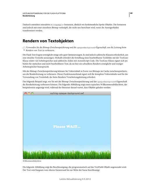 Leistungsoptimierung für die ADOBE FLASH-PLATTFORM