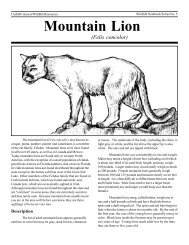 Mountain Lion NBS fixed.p65 - Utah Division of Wildlife Resources