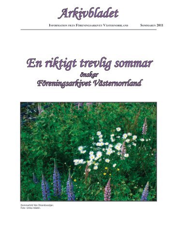 Arkivbladet En riktigt trevlig sommar - FÃ¶reningsarkivet VÃ¤sternorrland