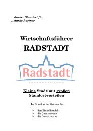 Der Wirtschaftsführer als .pdf - Stadtmarketing Radstadt ...