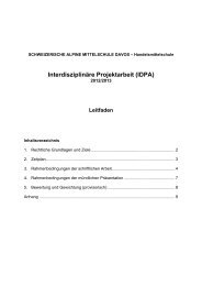 Leitfaden IDPA - SAMD