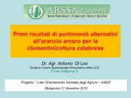 Primi risultati di portinnesti alternativi all'arancio amaro ... - FreshPlaza