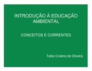 08/05/2008 Introdução a Educação Ambiental