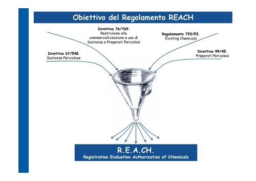 Il Regolamento REACH: elementi principali e criticità